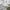 LANVIN Vintage Luxury Casual trouser Wanita white photo 6