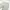 Loro Piana Vintage Luxury Casual pants Pria tan gray photo 8