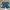 Adidas Streetwear Minimalist Boxer Pria Gray