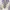 Shein Coquette Casual Summer dress Wanita white blue photo 4