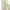 Casual Casual pants Pria khaki photo 7