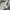Bershka Streetwear Leather jacket Wanita cream photo 5