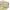 PPFM Futurist Casual Casual pants Pria khaki photo 8