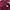 Nike Sportswear Jersey Pria burgundy photo 3