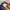 Polham Casual Sweatshirt Pria multicolor photo 5