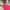 The North Face Gorpcore Minimalist Windbreaker Kids Pink