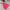 The North Face Gorpcore Minimalist Windbreaker Kids pink photo 1