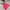The North Face Gorpcore Minimalist Windbreaker Kids Pink