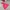 The North Face Gorpcore Minimalist Windbreaker Kids pink photo 7