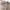 Japanese brand Y2K Casual Casual pants Pria tan photo 8