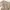 Japanese brand Y2K Casual Casual pants Pria tan photo 6