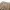 Japanese brand Y2K Casual Casual pants Pria tan photo 7