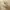 Japanese brand Vintage Casual Casual pants Pria tan photo 5
