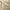 Japanese brand Vintage Casual Casual pants Pria tan photo 4