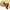 45rpm Casual Casual pants Pria tan photo 8