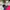 The North Face Gorpcore Minimalist Windbreaker Kids pink photo 2