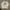 DogTown Streetwear Y2K Sweatshirt Pria white photo 1