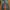Nudie Casual Jeans Pria navy photo 5