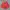 Vintage Windbreaker Pria orange red photo 4
