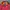 Vintage Windbreaker Pria orange red photo 3
