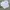 Stussy Casual Sweatshirt Pria white photo 1