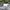 Nike Skater Sportswear Sweatpants & Joggers Pria navy blue photo 7