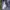 Nike Skater Sportswear Sweatpants & Joggers Pria navy blue photo 4