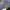 Nike Skater Sportswear Sweatpants & Joggers Pria navy blue photo 3