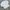 Guess Casual Sweatshirt Pria white photo 1