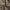 Minimalist Formal pants Pria tan photo 3
