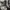 New Balance Sportswear Sneakers Pria white black photo 4