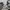 New Balance Sportswear Sneakers Pria White Black