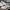 New Balance Sportswear Sneakers Pria white black photo 6