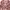 Monki Vintage Casual Midi Dress Wanita Multicolor