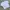 Champion Indie Casual Sweatshirt Pria white photo 1