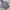 Hollister Indie Casual Hoody Pria gray photo 1
