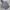 Hollister Indie Casual Hoody Pria Gray