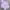 Nerdy Casual Hoody Pria Purple