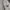 Yves Saint Laurent YSL Vintage Y2K Harrington jacket Pria white photo 5