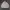 Yves Saint Laurent YSL Vintage Y2K Harrington jacket Pria white photo 1