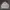 Yves Saint Laurent YSL Vintage Y2K Harrington Jacket Pria White