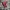 VINTAGE 1990s LE SAUNDE RED LEATHER photo 2