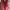 VINTAGE 1990s LE SAUNDE RED LEATHER photo 4