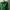 Descente Streetwear Y2K Track jacket Wanita green photo 5