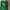Descente Streetwear Y2K Track jacket Wanita green photo 6