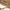 ZARA Luxury Minimalist Clutch Wanita tan cream photo 3