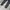 Fear of God ESSENTIALS Luxury Sweatpants & Joggers Pria gray photo 2
