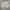 Fila Sportswear Casual Track jacket Pria white photo 3