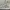 Fila Sportswear Casual Track jacket Pria white photo 4