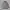 Carhartt Luxury Casual Polo shirt Pria white black photo 1